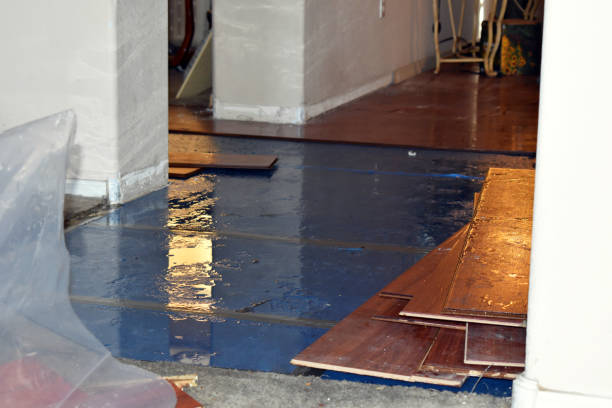 Professional Sewage Cleanup technician working in Farmington, NH